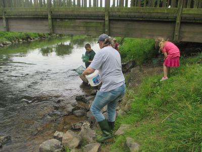 k-img_1111.jpg