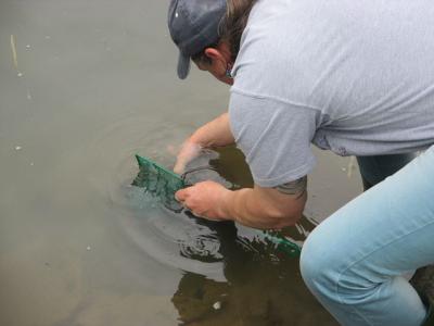 k-img_1127.jpg