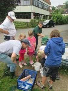 k-img_1147.jpg